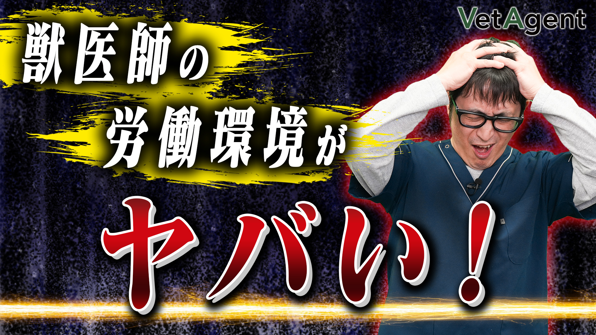 獣医師の労働環境がヤバすぎる…現役獣医師がリアルな実態を解説!!