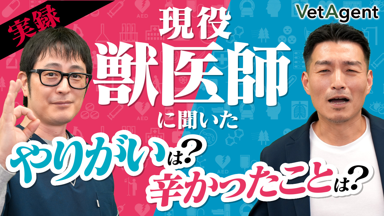 現役の獣医師が仕事のやりがいについて本音で語ります