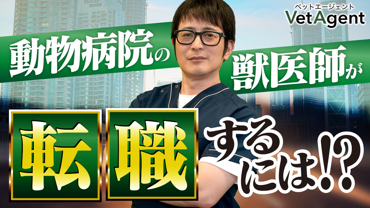 【転職相談】動物病院の”獣医師の転職”って何をすればいいの⁉