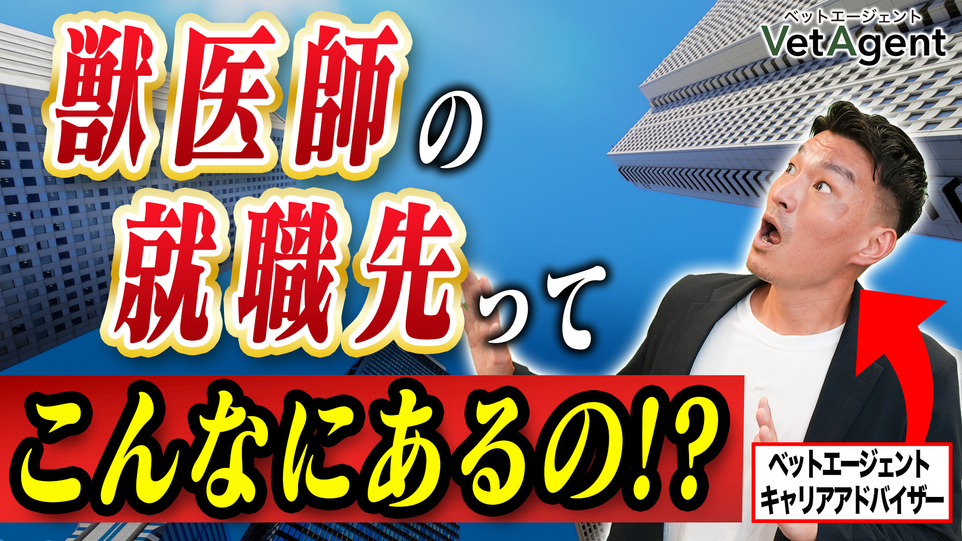 【獣医師】獣医学生の就職先ってこんなにあるの⁉ 就職・転職支援のプロが徹底解説!!