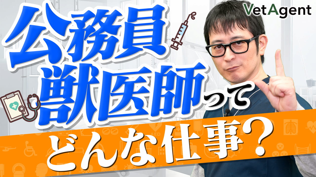 公務員獣医師ってどんな仕事？現役の総獣医師長がわかりやすく解説します！