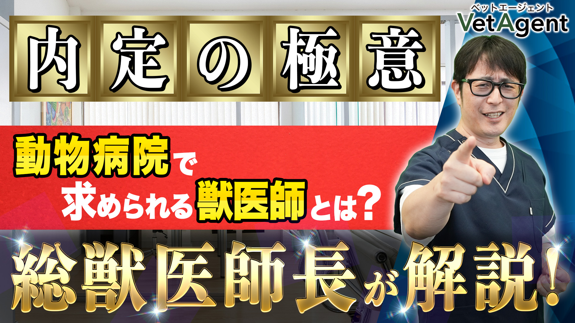 【総獣医師長が解説！】動物病院ですぐ内定をもらえる人の共通点とは？